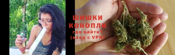 PSILOCYBIN Абаза