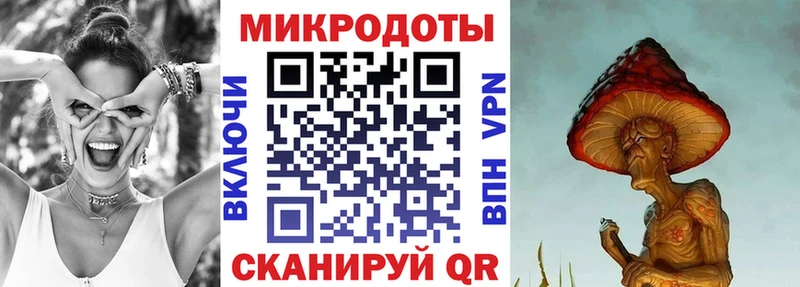 Галлюциногенные грибы Psilocybine cubensis  Яранск 